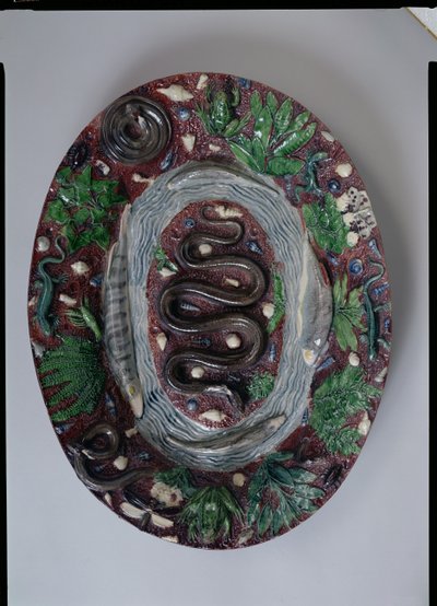 Grote ovale schaal in reliëf met een ringslang, amfibieën en vissen door Bernard Palissy